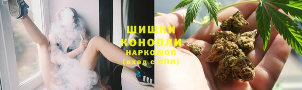 крисы Беломорск