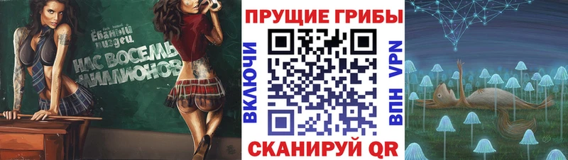 Псилоцибиновые грибы мухоморы  Бузулук 